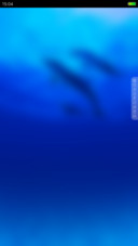 海豚恋 旗舰版