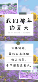 我们那年的夏天