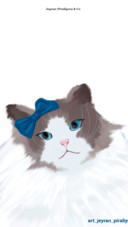 Cat (2)