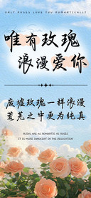 唯有玫瑰浪漫爱你