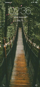 deep forest【TT】