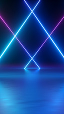 The neon lights4