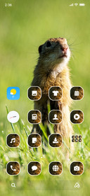 Rodents_3MDS