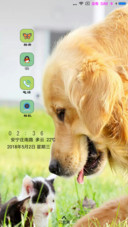小狗狗