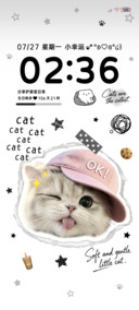 搞怪小猫撕纸风