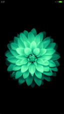 iOS Green