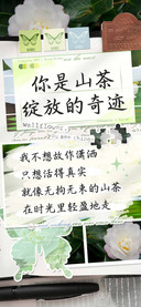 你是山茶绽放的奇迹