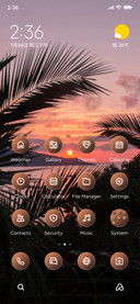 Palm Dusk