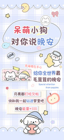 呆萌小狗对你说晚安