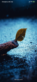 Rainy fi
