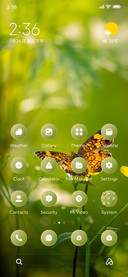 Green Fly