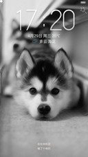 为了骨头！精致自由桌面 