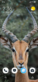 Royal Antlers