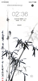 枫叶竹