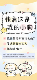 快看这是我的小狗