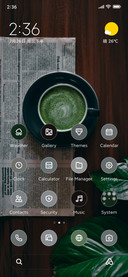Matcha Mood