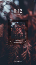 ZYM(适配8  自定义锁屏 自定义文字  粉红全局)