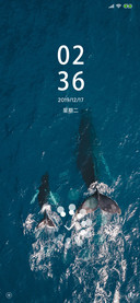whale