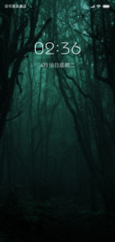 幽暗森林