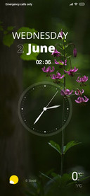 Nature Grass