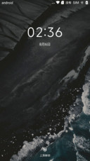 P fly mini