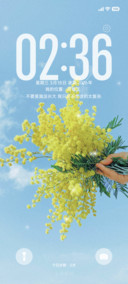 清新治愈花语