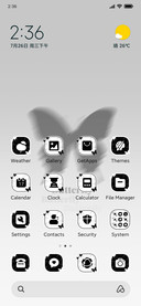Black Butterfly