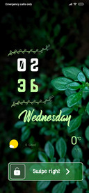 Plant_5
