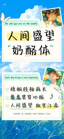 人间盛望奶酪体