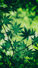 成长需要耐心陪伴