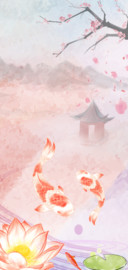锦鲤