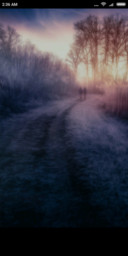Secluded