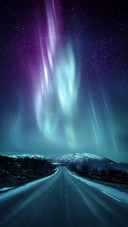 Scenery  (9)