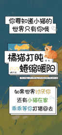 橘猫打盹蜷缩暖阳