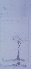 雨水