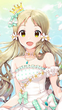 少女的公主梦