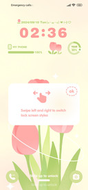 Pink Tulips