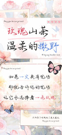 玫瑰山茶温柔的撒野