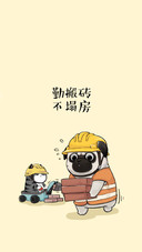 “喵生”不易