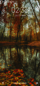 YellowLeaf_3MDS
