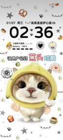 INS趣味小猫图鉴