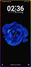 Premium_Flower