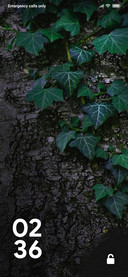 TREE_DWM2