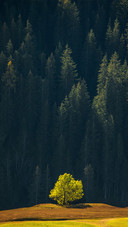 Dolomiten in Autumn Pretty Landscape Mountains