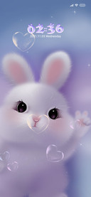 My cute rabbit