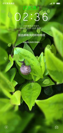 雨后护眼蜗牛