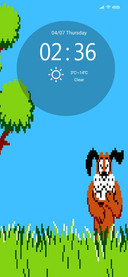 Duck Hunt IZ V13