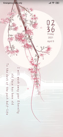 Peach Blossoms