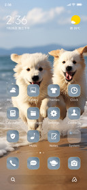 beach puppies