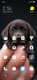 Thumb puppy